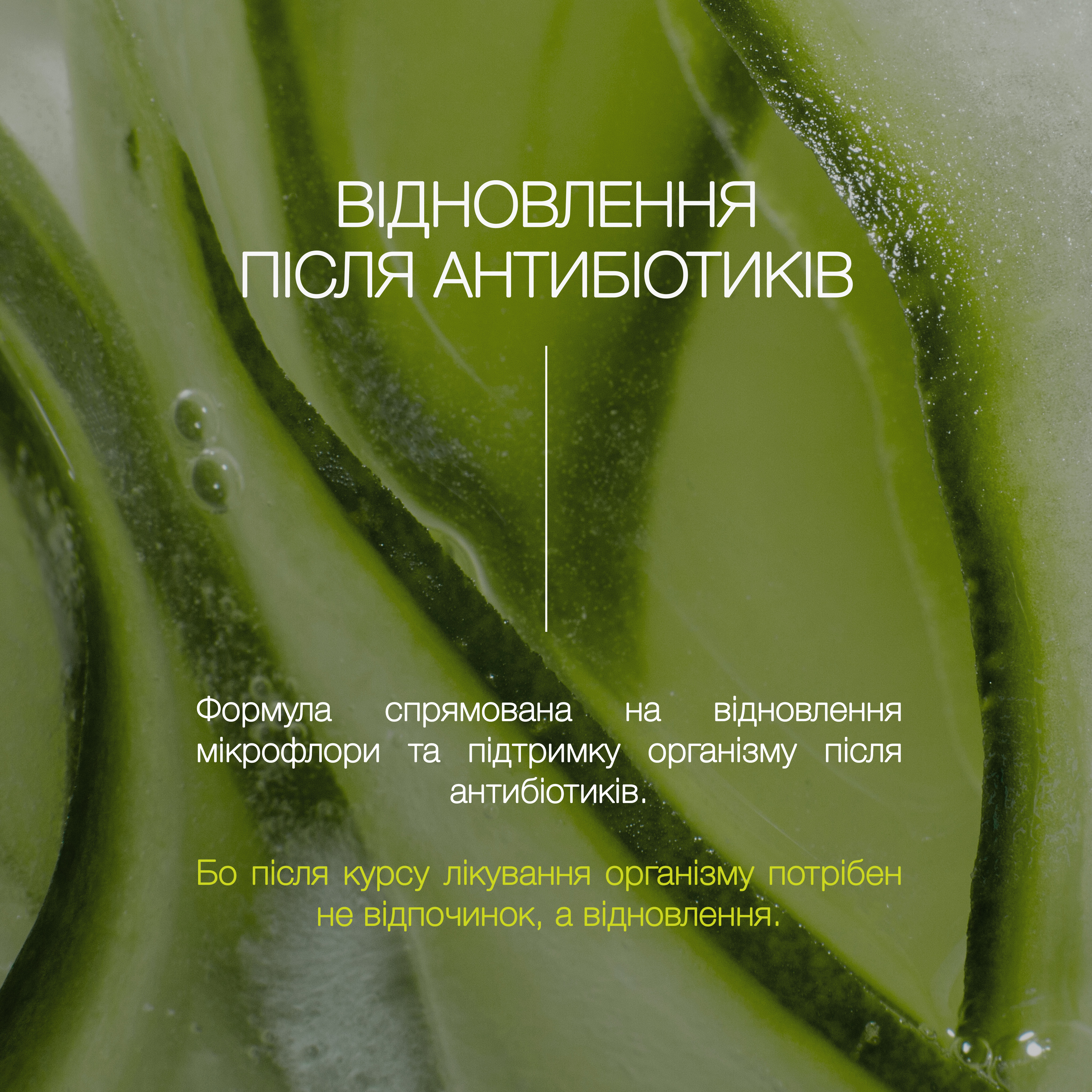 Пробіотик-Плюс «Після антибіотиків» - зображення 3