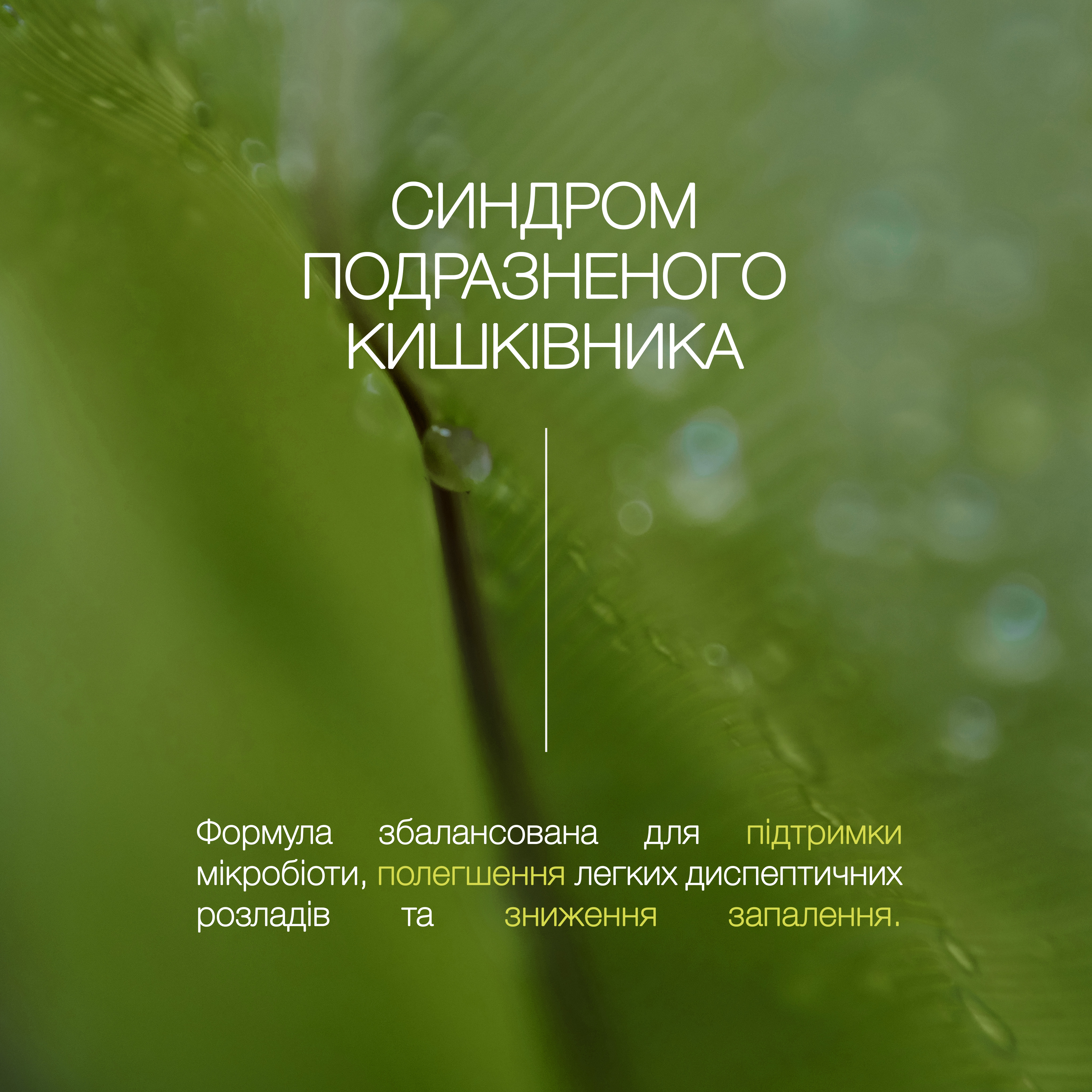 Пробіотик-Плюс «Синдром подразненого кишківника» - зображення 3