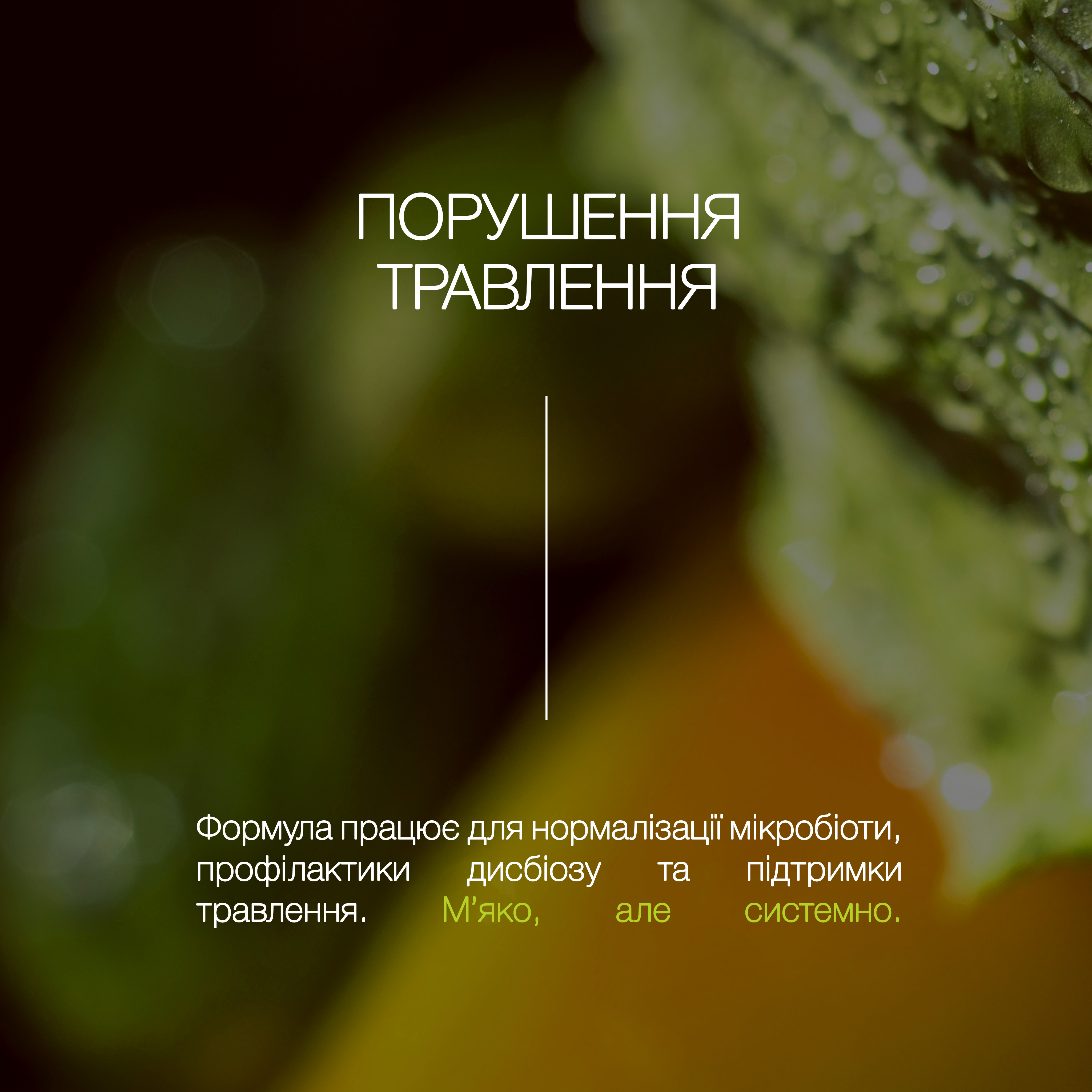 Пробіотик-Плюс «Порушення травлення» - зображення 3