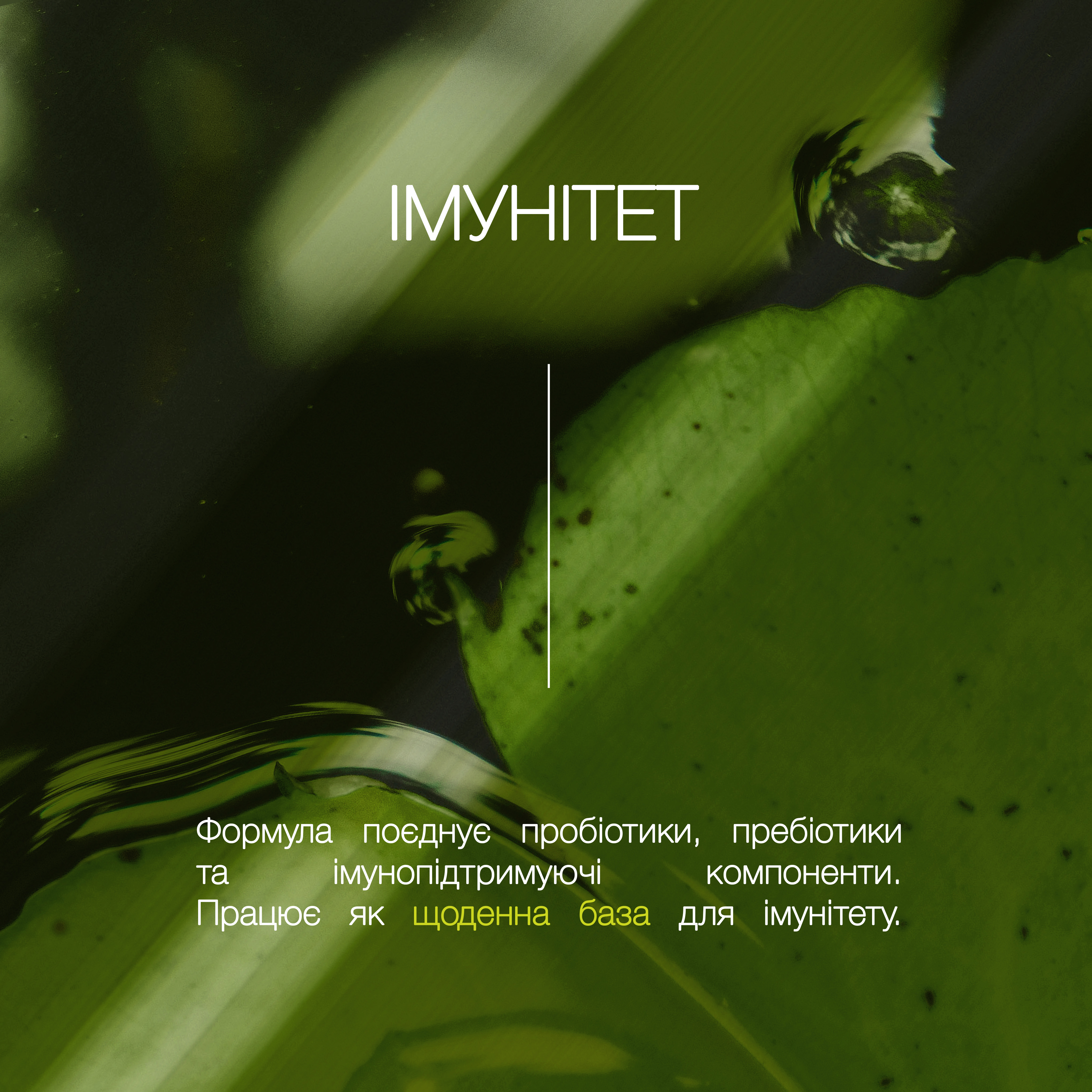 Пробіотик-Плюс «Імунітет» - зображення 3