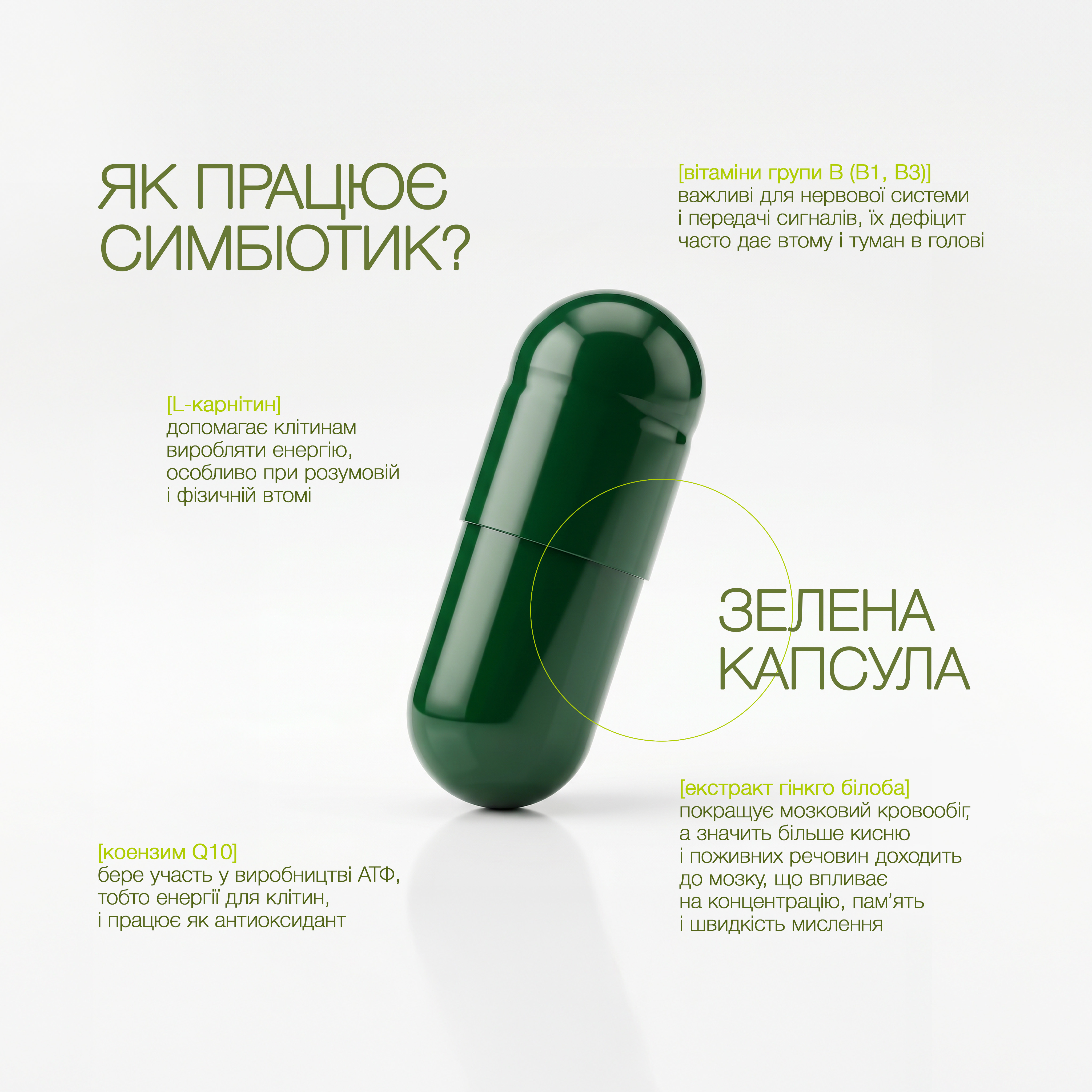 Пробіотик-Плюс «Стомлюваність, нестача енергії» - зображення 4